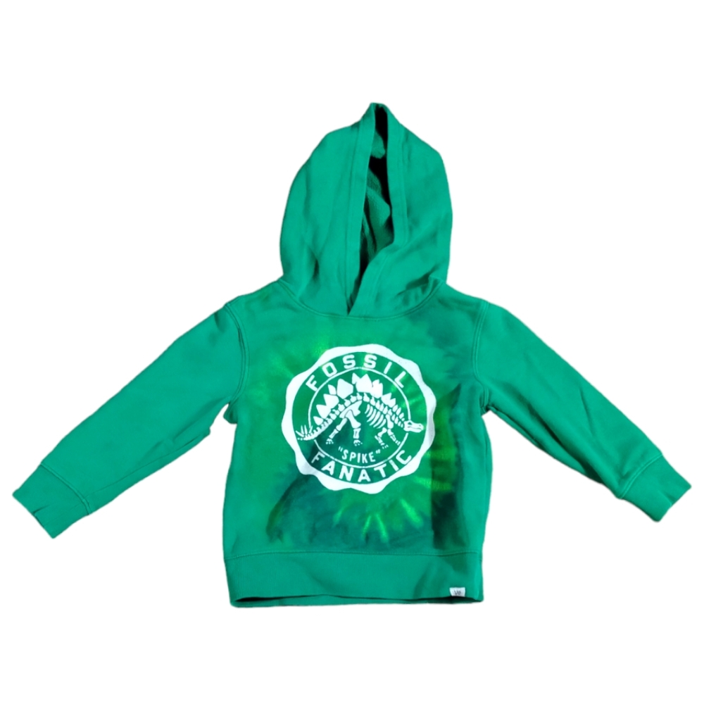 •BABY GAP BOYS GREEN DINOSAUR FOSSIL GRAPHIC HOODIE SWEATSHIRT Toddler 4 Year